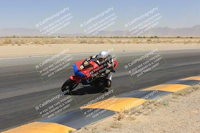 media/May-13-2023-SoCal Trackdays (Sat) [[8a473a8fd1]]/Turn 15 Inside (1220pm)/